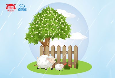 绵羊奶在宝宝成长过程中起到怎样的作用？